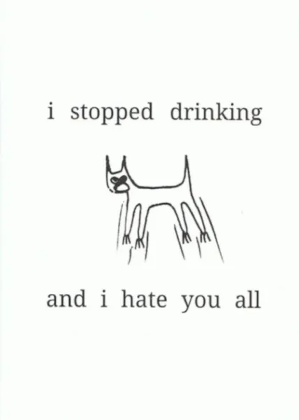 I Stopped Drinking and I Hate You All (A6)