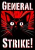 General Strike T-Shirt Spanish