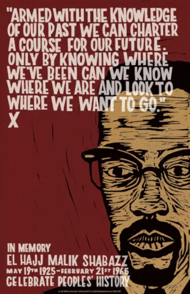 Poster - Malcolm X (CPH)