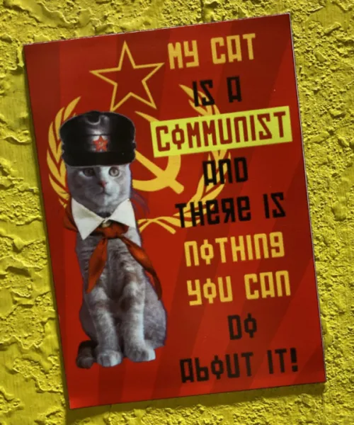 Vinyl Magnet - My Cat is a Communist